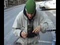 Truite dans le Mercantour Truite dans le Mercantour