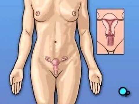 vagina squirting