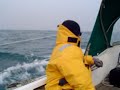 sailing