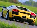 Exotic Cars