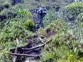 Mt. Sabinyo Virunga Vulkane Uganda www.bike-together.de