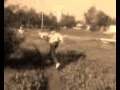 videos de parkour-scourpion