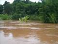 Mae Khong River Highest for 40 years