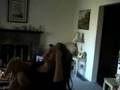 videos de The Adventure of MR. Bun Bun-- Part 1