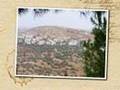Beit Hanina