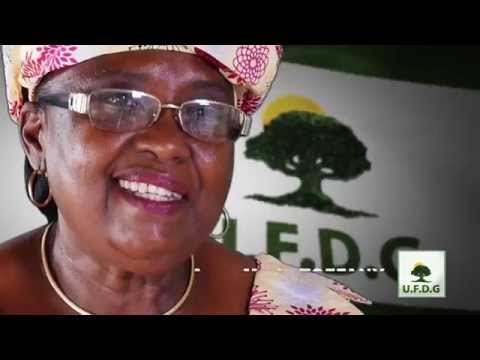Congrès national de l’UFDG du 23 au 25 juillet 2015 à Conakry : Présentation 