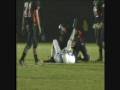 videos de The Amazing Catch