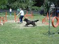 Sasha Abierta 08-11-09  Agility G2