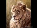 Lions - paintings by Eric Wilson