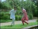 K Vishwanath & Ilaiyaraja Songs