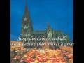 videos de Christmas songs from Germany - Snow falls softly at night (Leise rieselt der Schnee)