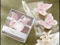 videos de Butterfly Wedding