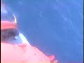 trans pacific rower hoisted by humboldt bay coast guard