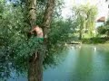 ePosavje.com - Marjan, kostanjevi?ki Tarzan ePosavje.com - Marjan, kostanjevi?ki Tarzan