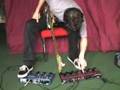 Looping Bleeps
