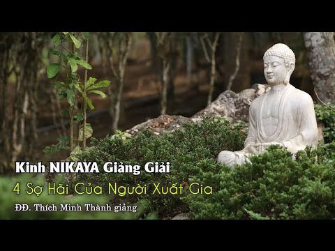 Kinh NIKAYA Giảng Giải – 4 Sợ Hãi Của Người Xuất Gia – Kinh Catuma Bài Kinh 67 – Trung Bộ II Kinh NIKAYA Giảng Giải – 4 Sợ Hãi Của Người Xuất Gia – Kinh Catuma Bài Kinh 67 – Trung Bộ II