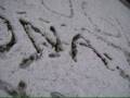 videos de Parvoices na Neve