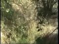 I Veleni di Tito: Una bucolica passeggiata tra fanghi industriali interrati e fosfogesso(Parte II)