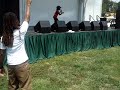 LIL JAZZY AT THE SOUTH WEST MUSIC FESTIVAL