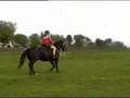Level 2 task Freestyle 5 Trot figure eight