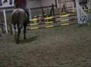 Chester jumping in Killossery. Chester jumping in Killossery.