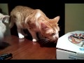 video 2011 07 29 21 36 00