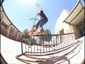 ryan sheckler