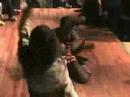 Naima Blahnik vs  Ebony  pt 2 @ Andre's  B -Day Ball