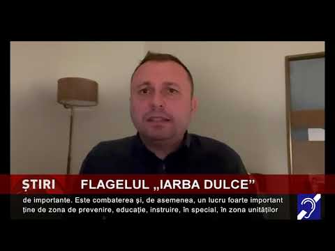 Flagelul ”Iarba dulce”