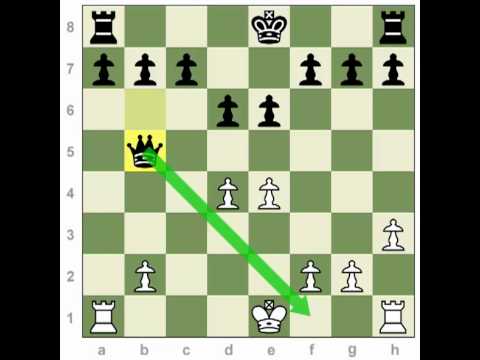 chess chess