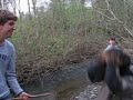 Breaking Stickk
