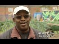 Arkwright Meadows community gardens