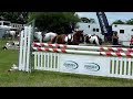 Berlin Gold (Henry) and I doing our first junior rider