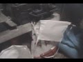 MOLINO TRITURADOR DE PLASTICO 5HP