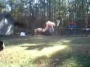 no handed frontflip (on flatground) no handed frontflip (on flatground)