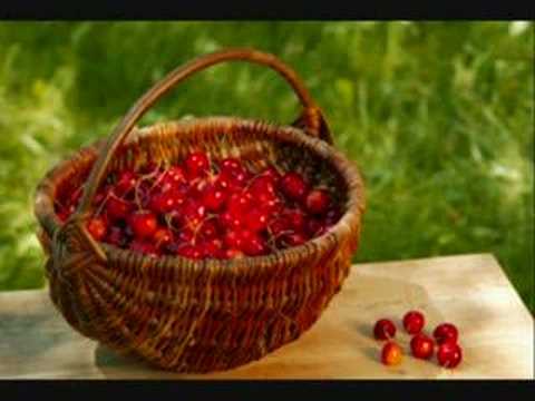 tose proeski mesecina mp3