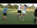 OLLIE AT TRAINING
