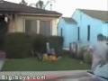 videos de Idiots2