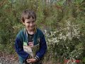 Old Lake Road Nature Walk (PA / OH)