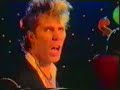 Stray Cats - Elvis on Velvet