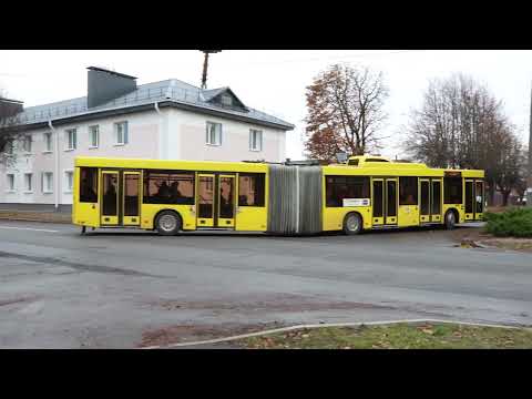 Барановичи день за днем. 11.11.25.