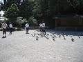 Japanese boys