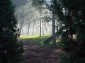 Threesome - Gobi