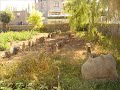 KARAKOYUNLU