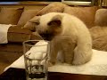 Thirsty??? Thirsty???