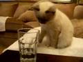 Thirsty???