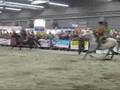 Coat congar: vol de cheval part 1