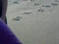 At the broadwalk with people