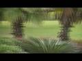 videos de unity temlpe