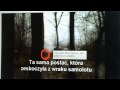 TVG-9 Katastrofa w Smoleńsku – Niezależne Dochodzenia Internautów